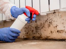 Best Mold Removal for HVAC Installations  in Steele Creek, AK